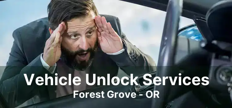 Vehicle Unlock Services Forest Grove - OR